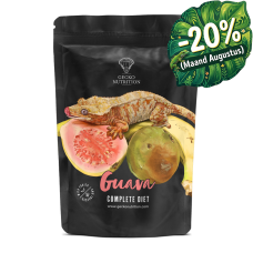 Gecko-Nutrition Guava