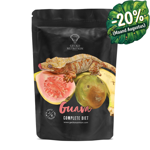Gecko-Nutrition Guava