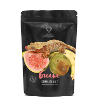 Gecko-Nutrition Guava