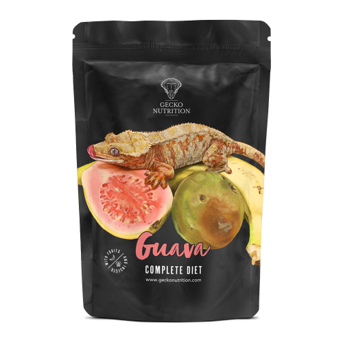 Gecko-Nutrition Guava