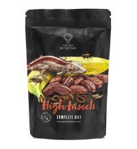 Gecko-Nutrition High Insects