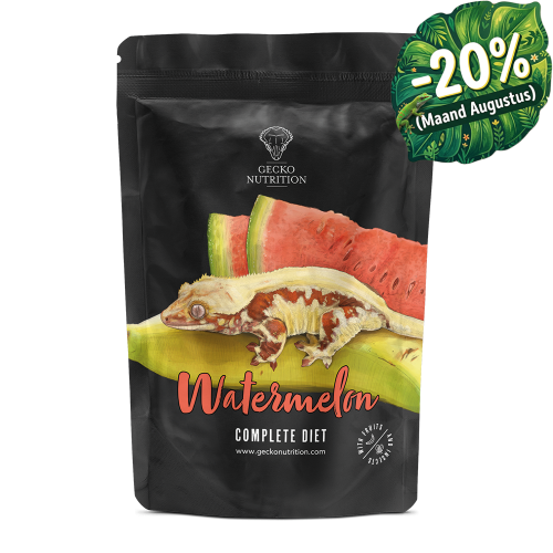 Gecko-Nutrition Watermeloen