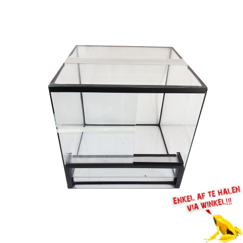 Glas Terrarium 30x30x30cm NEW Glas Terrarium 30x30x30cm NEW