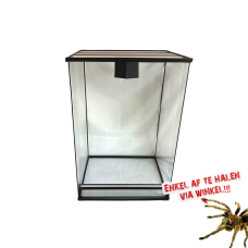 Glas Terrarium 30x30x50cm