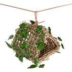 Hanging Hideout Reptile