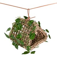 Hanging Hideout Reptile