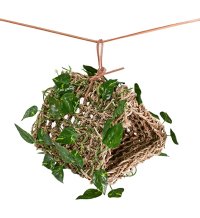 Hanging Hideout Reptile