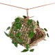 Hanging Hideout Reptile
