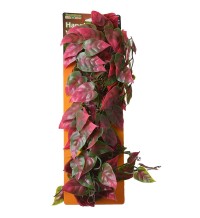 Hanging Vines - Groen-Rood - 61cm