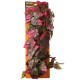 Hanging Vines - Groen-Rood - 61cm