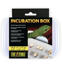 Incubation Box