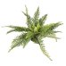 Kunstplant Varen Groen