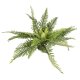 Kunstplant Varen Groen