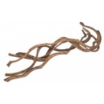Liaan Natuur 90-100cm - Ø2-3cm