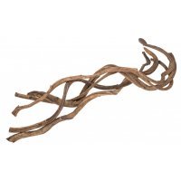 Liaan Natuur 90-100cm - Ø2-3cm