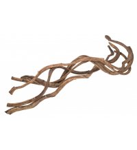 Liaan Natuur 90-100cm - Ø2-3cm