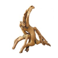 Mangrove LM - 24.5x11.5x25.5cm