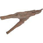 Mangrove M 15-25cm