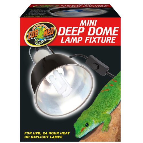 Mini Deep Dome