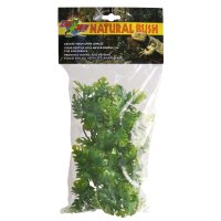 Natural Bush Plant - Amazonian Phyllo 36cm