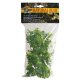 Natural Bush Plant - Amazonian Phyllo 36cm