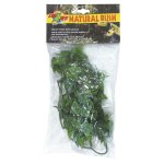 Natural Bush Plant - Mexican Phyllo 36cm