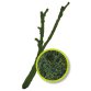 Natural Tropical Vine Branch - Small