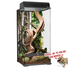 NaturalL Rainforest Terrarium Small X-Tall 45x45x90cm
