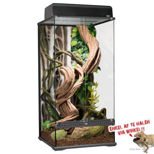NaturalL Rainforest Terrarium Small X-Tall 45x45x90cm