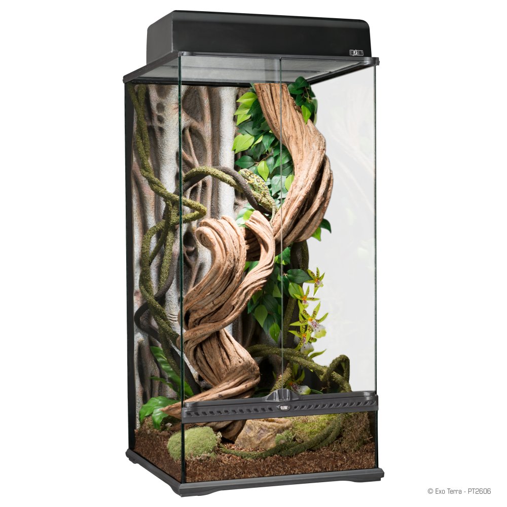 Wirwar gevangenis Onbevreesd NaturalL Rainforest Terrarium Small X-Tall 45x45x90cm - PT2606 - Anaconda  Reptiles