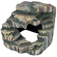 Rainforest Corner Rock Medium