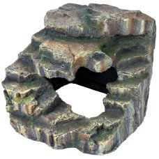 Rainforest Corner Rock Medium