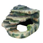 Rainforest Corner Rock Small