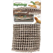 Bridge Lizard Lounger