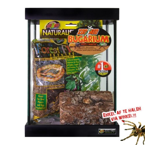 Reptihabitat Bugarium Insect Kit 29x22x22cm Reptihabitat Bugarium Insect Kit 29x22x22cm