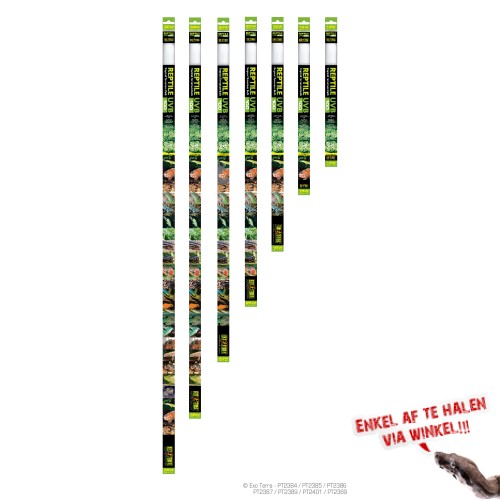 Reptile Uvb 100 T8 Tropical