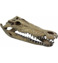 Repto Deco Crocodile XXL