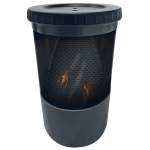 Repto Insect Buffet