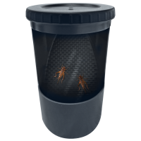 Repto Insect Buffet