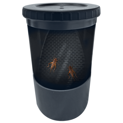 Repto Insect Buffet