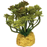 Repto Plant Cactus Tree
