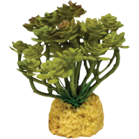 Repto Plant Cactus Tree
