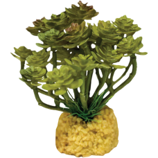 Repto Plant Cactus Tree