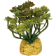 Repto Plant Cactus Tree