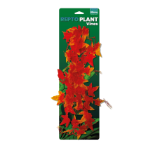 Repto Plant Vines - Orange Hedera