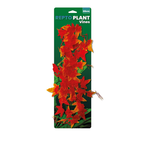 Repto Plant Vines - Orange Hedera