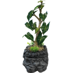 Repto Water Dripping Tree