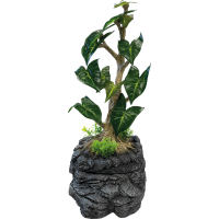 Repto Water Dripping Tree