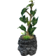 Repto Water Dripping Tree