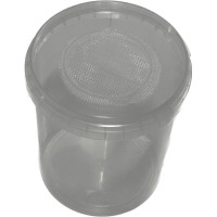 Insecten Boxen Geperforeerd